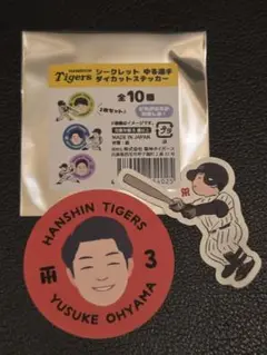 阪神タイガース 大山悠輔
