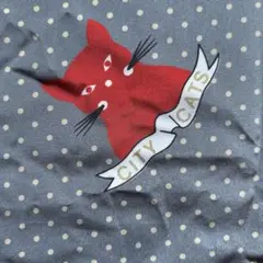 昭和レトロ柄ハギレ2枚