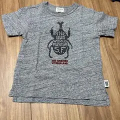 カブトムシ　Tシャツ グレー