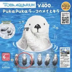 PukaPuka ラッコのメイとキラ　　　　　　　　　お手上げキラちゃん②