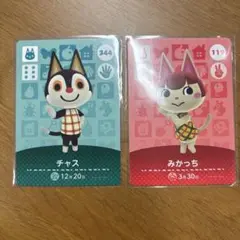 アミーボ