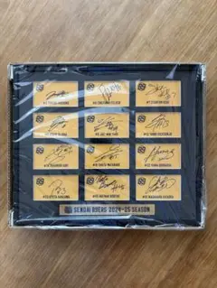 最終【新品未使用】仙台89ERS 2024-25シーズン　全選手直筆サイン額縁