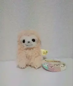 ナマケモノのみっけ
