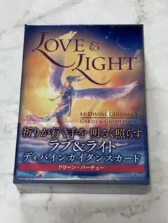 新品未開封　絶版ラブ&ライトディバインガイダンスカード　希少 ラブ&ライトディバインガイダンスカード 日本語版説明書付 2021