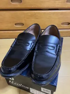 Item thumbnail for item ac520de7-30dd-4030-aa16-6f88d6020ecf