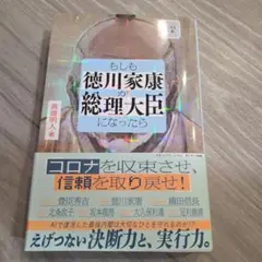 もしも徳川家康が総理大臣になったら ビジネス小説
