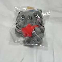 NCT WISH DOLL ぬいぐるみ リク RIKU ドール マスコット