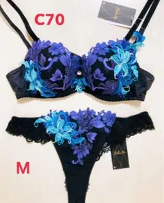 ワコール サルート ♡ 53G ♡ ブラC70 ♡ ソングM