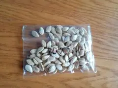 Item thumbnail for item d7603d5c-66d8-42f7-a61c-94ae4ffab1ee