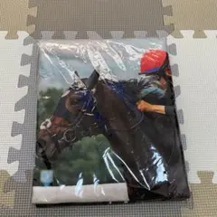 タイトルホルダー　引退記念ジャンボバスタオル