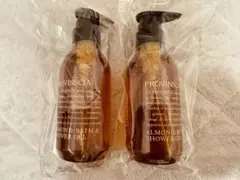 Item thumbnail for item c631cb50-174c-4465-a5fc-c57f4b49dce2