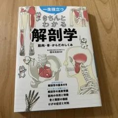 一生役立つ きちんとわかる解剖学 筋肉・骨・からだのしくみ