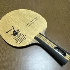 アコースティックカーボン　FL
