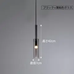 ★新品未使用品★　LEDペンダントライト1本　AAAZM 取扱説明書あり