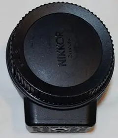 Item thumbnail for item b0dd23cc-a3fd-4c25-a301-f0948a4ea6d6