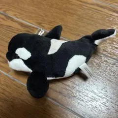 名古屋港水族館　シャチ　ぬいぐるみキーホルダー　限定　水族館