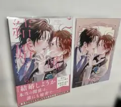これは嘘の結婚だから　上田にく　コミコミ有償特典