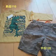 SEEROOTS 恐竜Tシャツと迷彩ショートパンツセット 110〜120