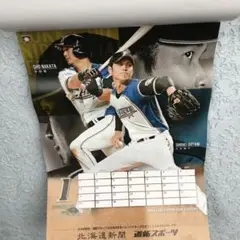 日本ハムファイターズ大谷翔平2012-2017 プレイバックwith道新スポーツ 日本ハムファイターズ大谷翔平2012-2017 プレイバックwith道新