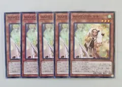 遊戯王カード　NR WAKE CUP！ マキ　5枚