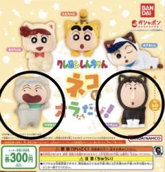 クレヨンしんちゃん　ネコなオラたちだゾ！　2点セット(マサオくん、ボーちゃん)