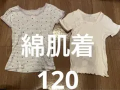 コットンインナー　肌着　半袖　セット　120