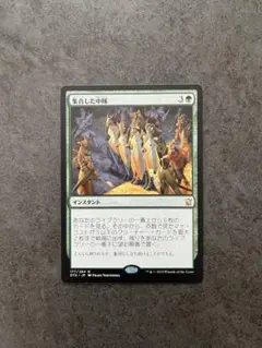 MTG マジック ザ ギャザリング 集合した中隊 日本語 1枚 非foil