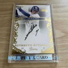 Item thumbnail for item 63cad492-173b-441e-8c89-d17cc2d80736