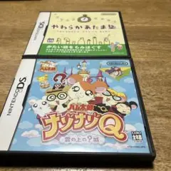 DSソフト 2個セット