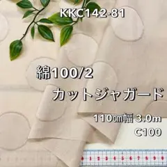 Item thumbnail for item 958fa4d8-5542-4736-b2ef-d88cd9479df5