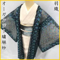 道中着 ロング『伊と幸 』オーガンジー 塵除 新品未使用品 3-0385a1.jpg