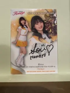 Item thumbnail for item a82536dd-1066-4f55-952a-23d0de631cf6