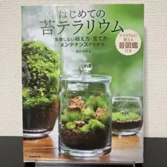 はじめての苔テラリウム