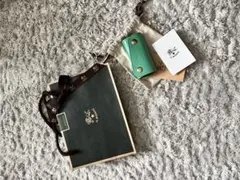 Il bisonte グリーン レザー キーケース