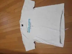 ホワイト Tシャツ インザペイント L