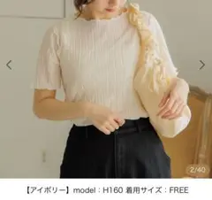 新品daily sheer Ts～デイリーシアーティーズ アイボリー