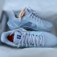 Nike バスケットボールシューズ 24.5cm