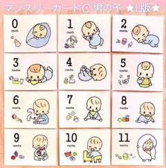 マンスリーカード C男の子　L版アルバム　アルバス　月齢カード　出生記録