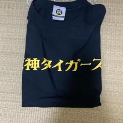 Item thumbnail for item 8e55d34c-ed97-497b-9617-573e43f181f1