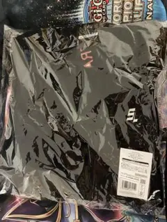 Item thumbnail for item 63fd27dd-d219-40a6-b763-15b079e590ac