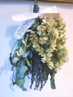 130　カシワバアジサイのグリーンスワッグ　柏葉紫陽花のスワッグ　約30cm