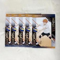 ハイキュー　ユース・疑似ユース合宿フェア　日向翔陽