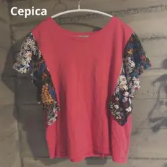 セピカ　刺繍フリル袖Tシャツ
