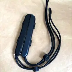 任天堂　ジョイコン　ストラップ　2個セット　joy-con 15