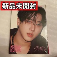 新品未開封 Straykids KARMA Accordion チャンビン