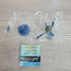 【海洋堂】日本水族館立体生物図録 タイワンガザミ