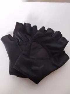 Item thumbnail for item 8de40879-e32b-46d8-82c8-3fd33ad48754