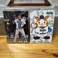 Item thumbnail for item ad0f57ac-c975-4bc7-8883-b712a3073c7d