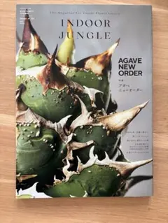 インドアジャングル　1〜3セット販売 2025年最新】indoor jungle アガベの人気アイテム - メルカリ