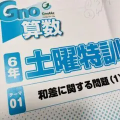 B 希少未記入　グノーブル　4年　算数　夏期講習　Gnoble B 希少未記入 グノーブル 4年 算数 夏期講習 Gnoble